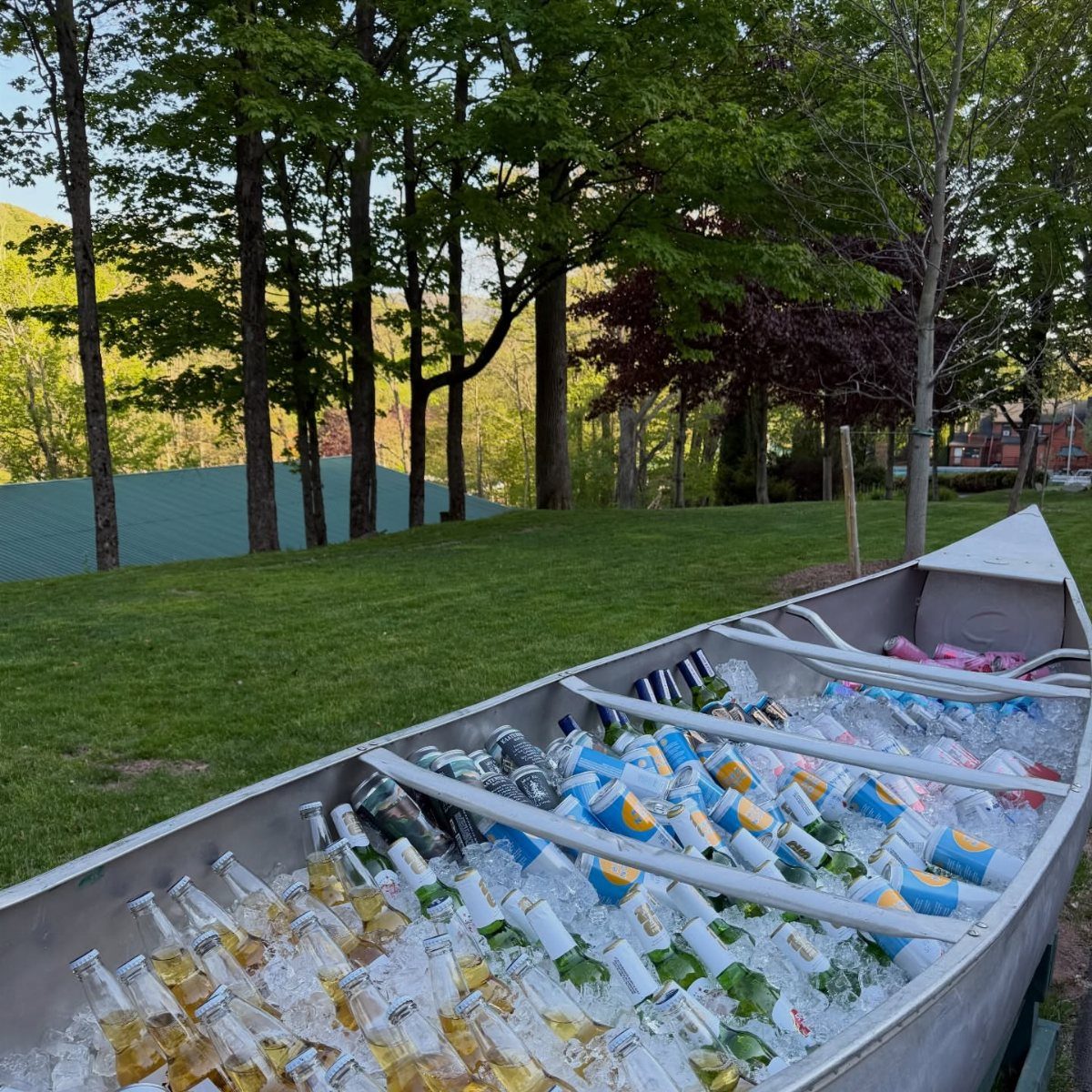 Silver canoe filled with ice and assorted bottled drinks on a green lawn.