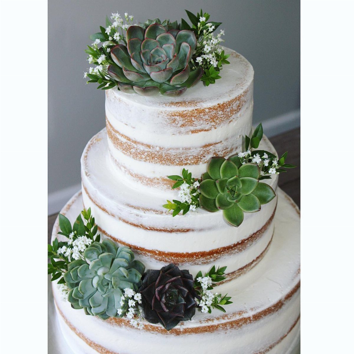 Three-tier semi-naked cake decorated with real green succulents and tiny white flowers.