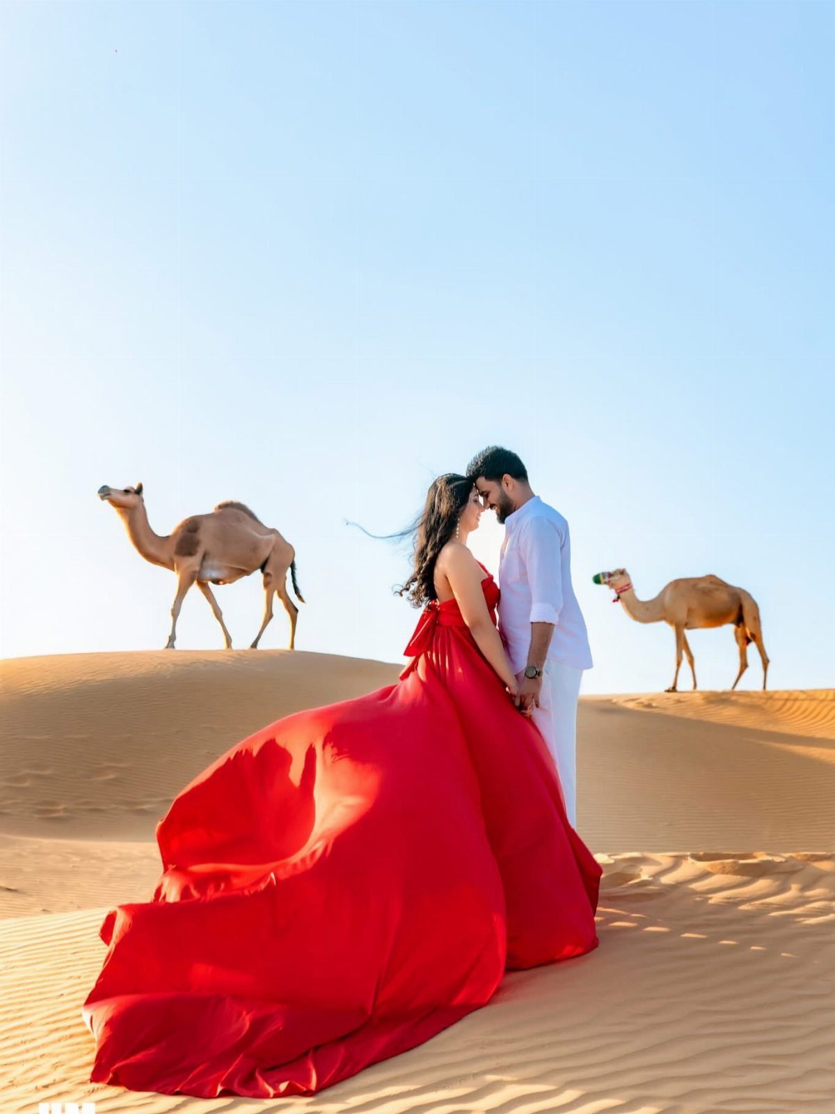 Couple in red and white attire posing on desert dunes with camels.