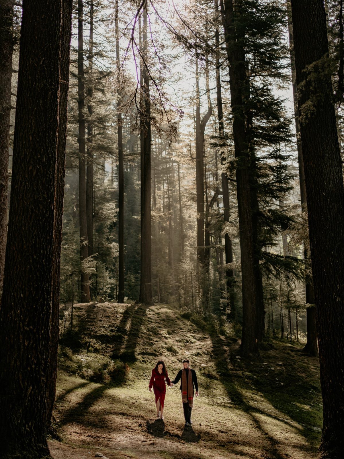 Couple holding hands walking through a sunlit forest with tall evergreen trees
