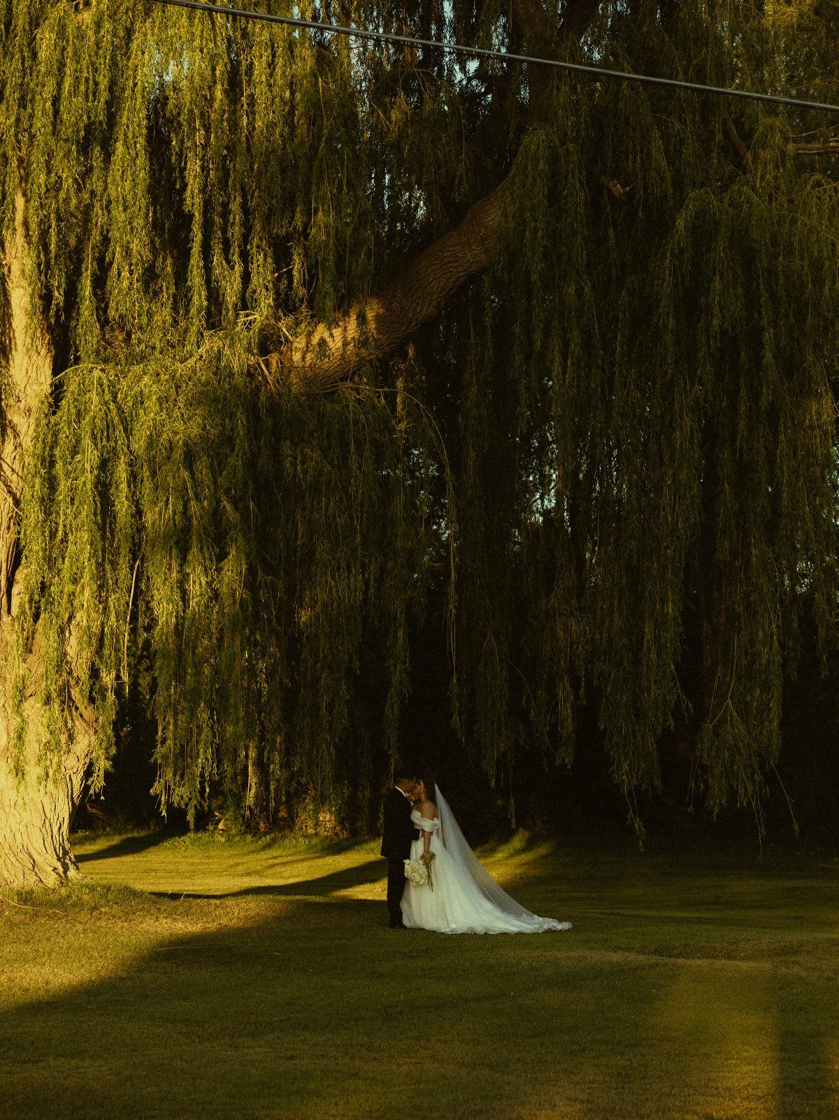 Bride and groom embracing under a large weeping willow tree at sunset.