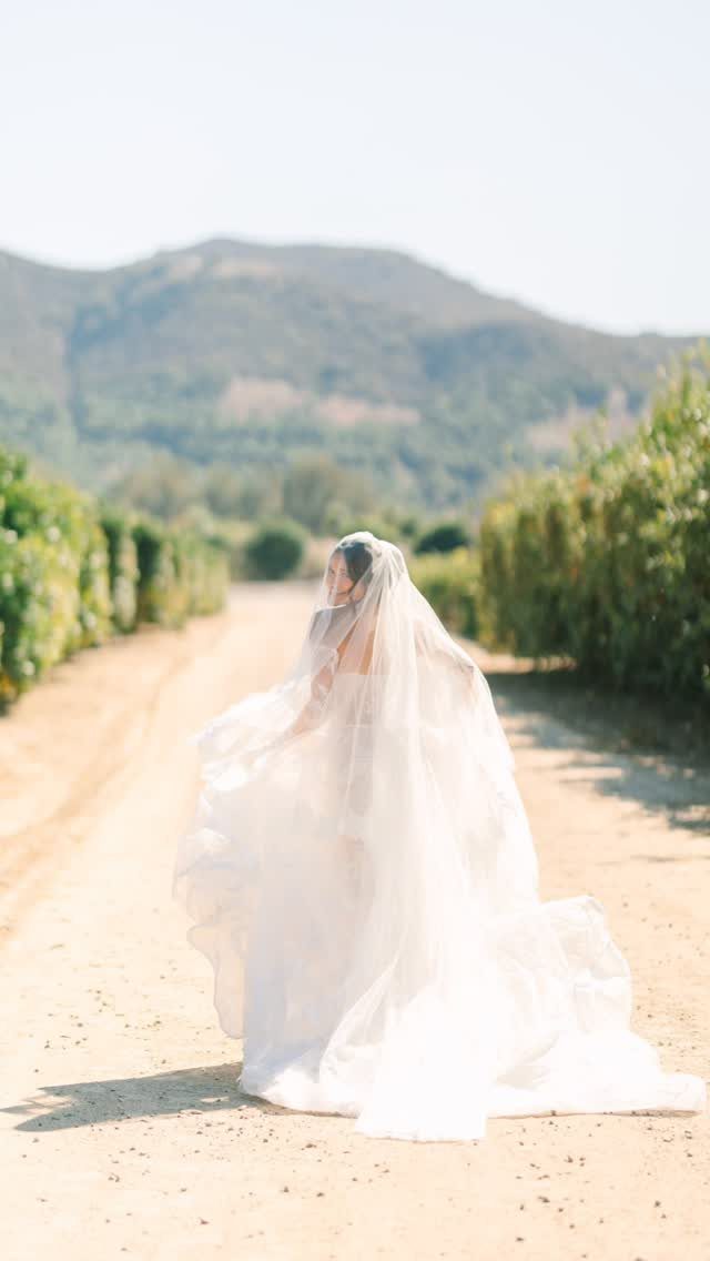Bride in a white wedding dress and long veil standing on a vineyard path