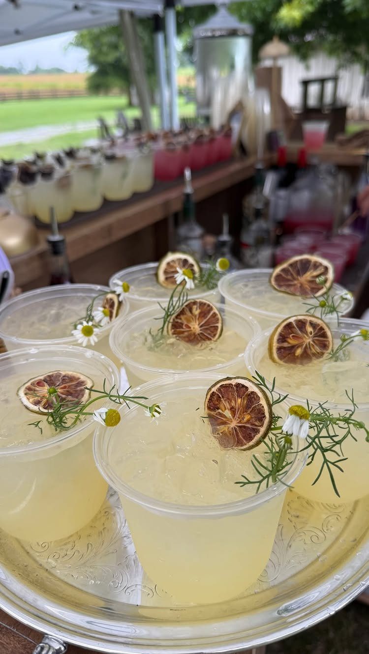 Pale yellow cocktails in plastic cups garnished with dried citrus and white flowers.