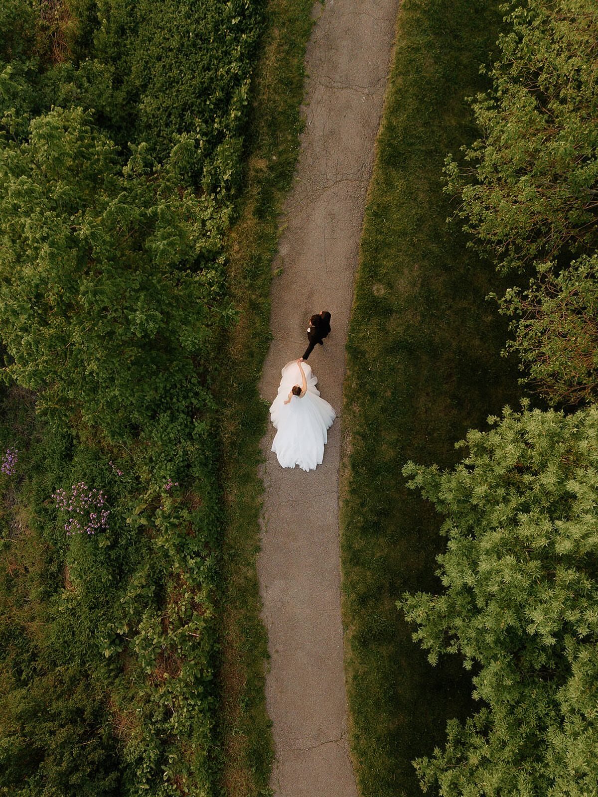 Bride in white dress walking with a black dog on a forest path