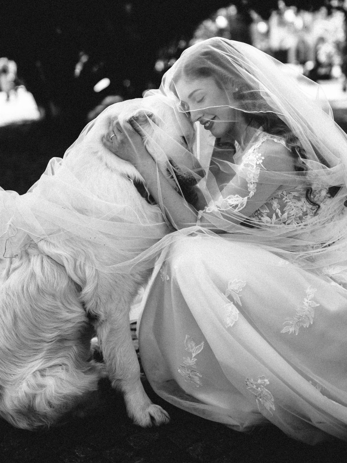 Bride in a lace dress and veil embracing a large light-colored dog.