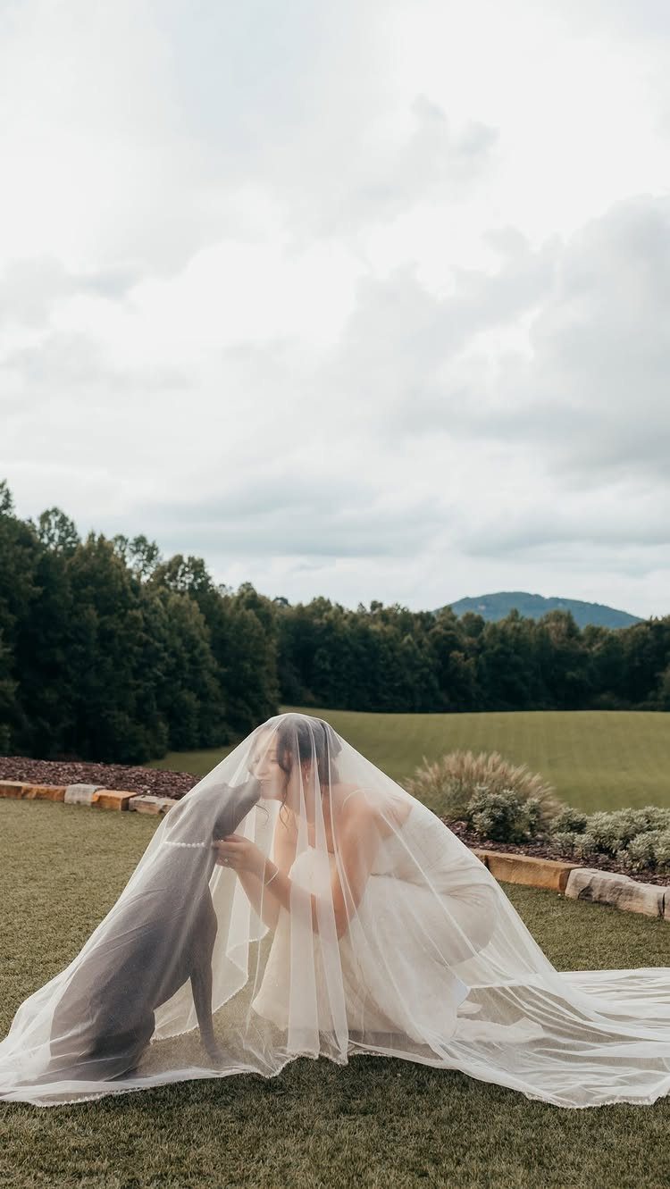 Bride in white dress and veil kneeling with a grey dog under the veil